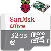 samsung pro endurance raspberry pi