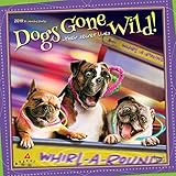 Avanti Dogs Gone Wild 2019 12 x 12 Inch Monthly Square Wall Calendar, Canine Pet Humor by