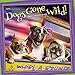 Avanti Dogs Gone Wild 2019 12 x 12 Inch Monthly Square Wall Calendar, Canine Pet Humor by