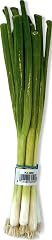 Green Onions (Scallions), One Bunch