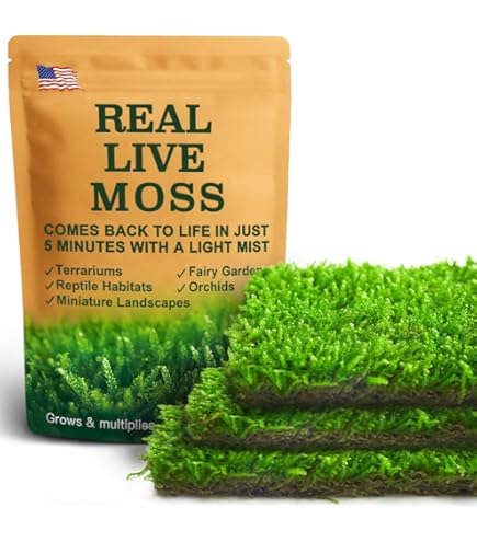 Amazon.com: Fresh Real Live Moss Variety Pack for Orchids & Mini