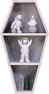 Wall Decor Coffin Shelf Floating Shelves Spooky Gothic Decor for Home,Whitewashed Floating Wooden Shelf for Wall or Table Top,Witchy Room Decor for Oddities and Curiosities