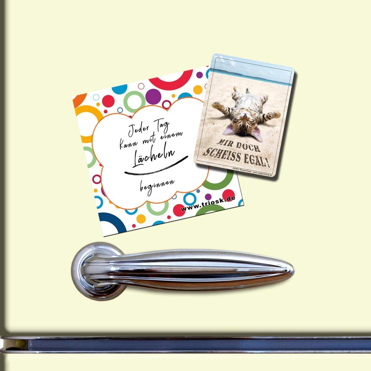 Download Scheiss egal sprueche Free HD Scheiss Egal Sprueche