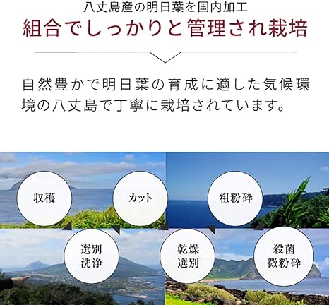 Amazon Nichie 八丈島産 明日葉 100 サプリメント 90g 約900粒 Ub ニチエー Nichie 植物由来 サプリメント