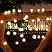 LELLEL 3rd Generation Super Bright Solar Outdoor LED String Lights, Waterproof Weatherproof for Yard Patio Garden Tree Party Wedding Decoration, Warm White 21ft Snow Ball 8 Working Mode