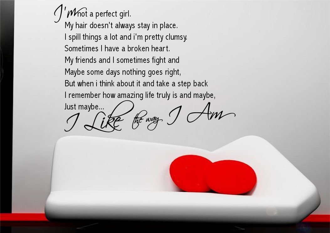 Perfect Girl Friends Memory Wall Art Quote Sticker Decal Mural Transfer Stencil WSD523