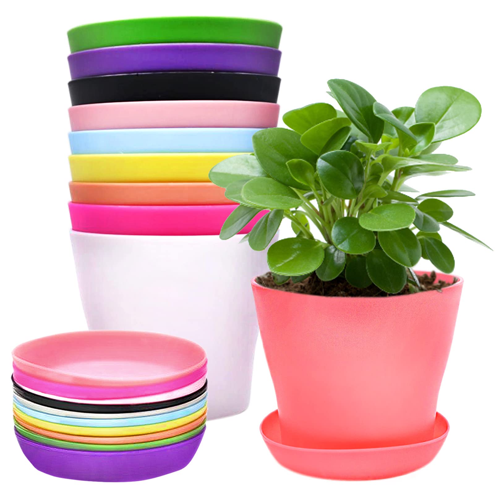 Cisolen 10 Pieces Colorful Plastic Flower Pots Mini Plant Pots Plastic with Drip Trays for Seedlings Miniature Plants for Garden Office Balcony Decoration 10 Colors