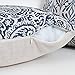 baibu Paisley Cushion Cover, Decorative Throw Pillow Cushions Covers Sham Cushion Case 1PC (Navy Blue, 18