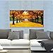 Pyradecor 40-Inch-by-20-Inch Far-seeing Modern Landscape Giclee Framed Stretched Canvas Print