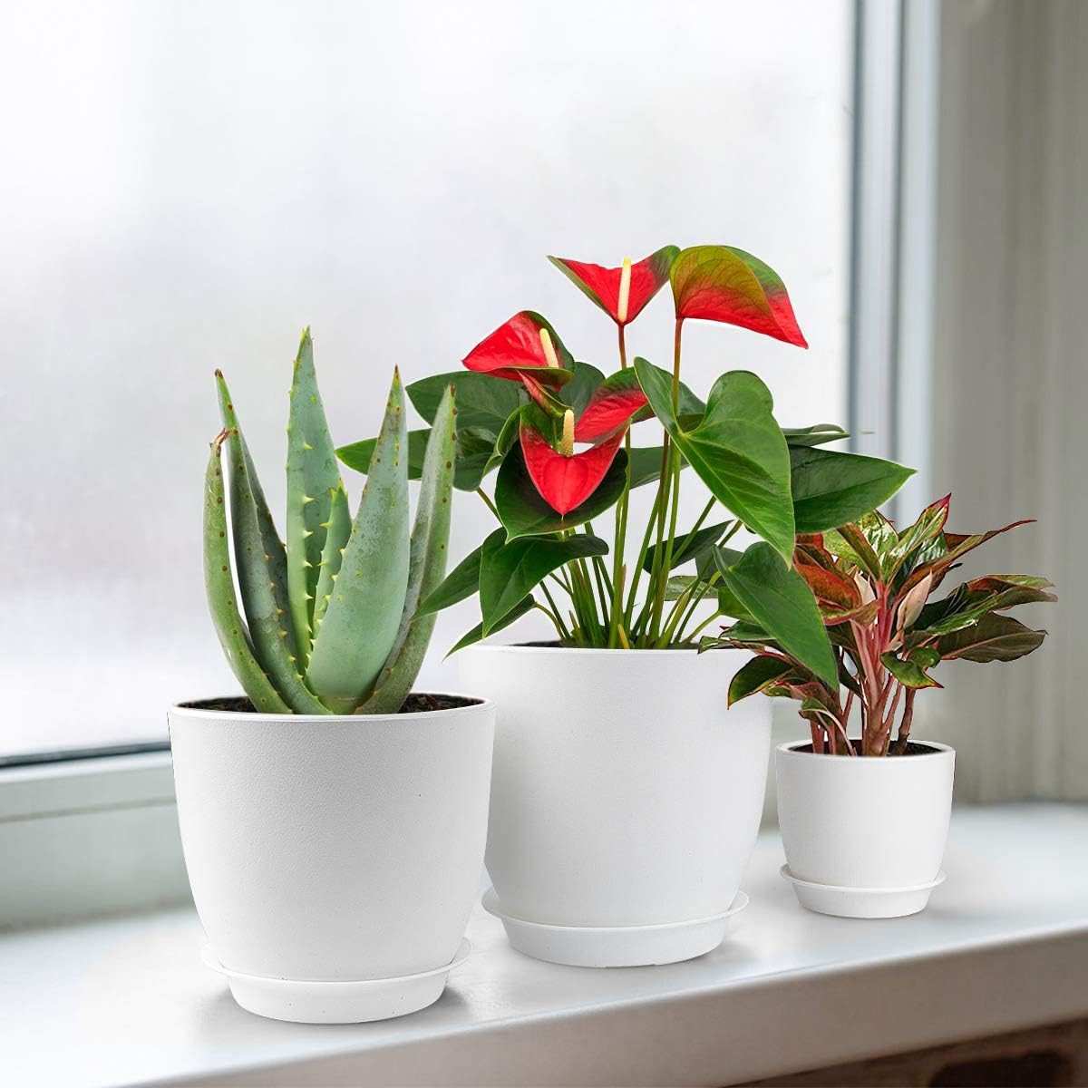 Plastic Planter, HOMENOTE 7/6/5.5/4.5/3.5 Inch Flower Pot Indoor Modern Decorative Plastic Pots for Plants with Drainage Hole and Tray for All House Plants, Succulents, Flowers, and Cactus, White: Kitchen & Dining