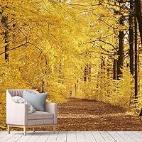 Wall Mural Foggy Forest Removable Self-Adhesive Wallpaper Wall Decoration for Bedroom Living Room - 66x96 inches