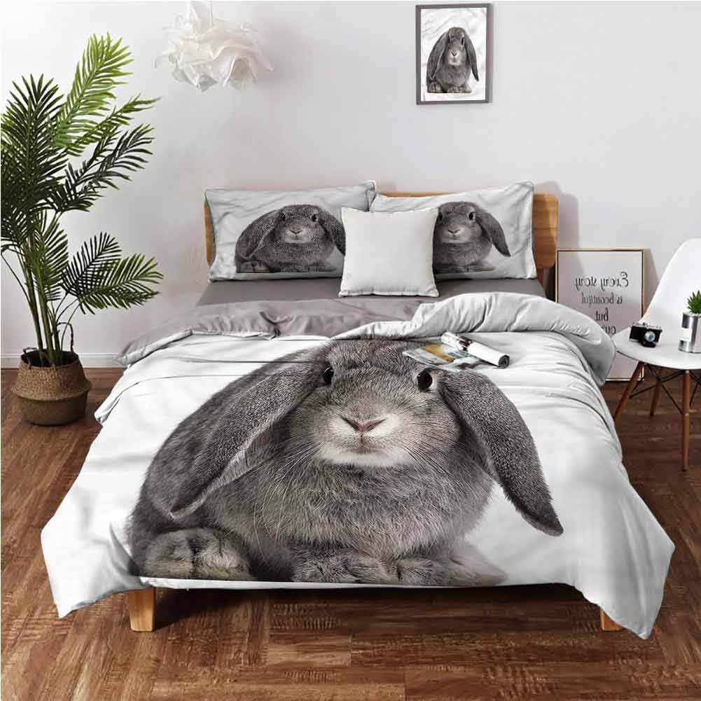 california king rabbit