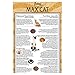DISCONTINUED BY MANUFACTURER: NUTRO MAX CAT Indoor Adult Dry Cat Food, Weight Control, 6 lbs.