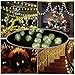 HQOON Globe String Lights with Mini Nylon Lantern, LED Fairy Decorative Lights, 3 AA Battery Operated (not included), 2 Lighting Modes, 10ft/3m, 20 Led Bulbs and Lanterns Ideal for Indoor and Outdoor