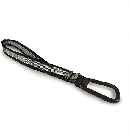 dog harness with seat belt loop