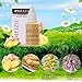 Hair Growth Essence Hair Loss Treatments Hair Loss Stop Fast Hair Growth Products RegrowGinger Genseng Raise Dense Hair 20ml