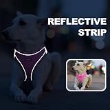 haapaw Dog Harness and Lead Set No Pull Adjustable Reflective Step-in Vest view 5