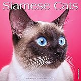 Siamese Cats 2017 Wall Calendar