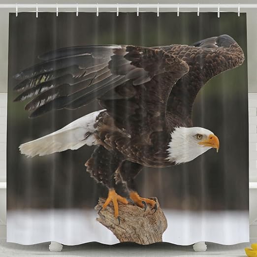 Amazon Com Singlelove Bathroom Decor Bald Eagle Ready To Fly Shower Curtains Polyester Fabric Waterproof 60 X 72 Home Kitchen