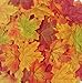 Senswalan Artificial Maple Leaves,500 pcs 10 Color Mixed Rich Fall Colored Leaves for Weddings Decorations or Christmas Party