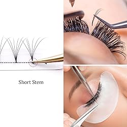 Premade Fans Eyelash Extensions 6D 0.07 D Curl
