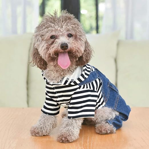dog jean jacket amazon