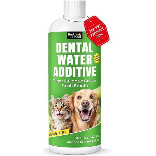 Dental Fresh Oral Care Water Additive, Breath Freshener, Teeth Plaque Remover, 17oz