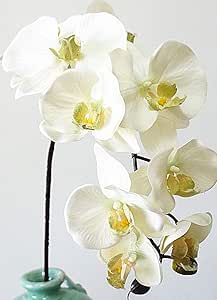 Huishuo 10 Flores Artificiales Phalaenopsis Individuales Blanco Puro
