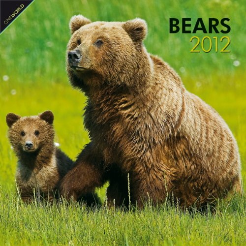 Bears 2012 Square 12X12 Wall Calendar
