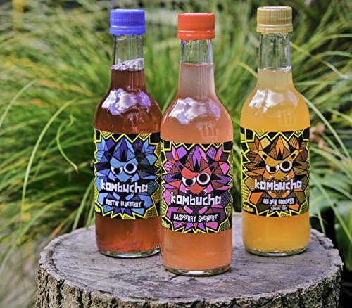 Box of Kombucha (24 x 330ml)