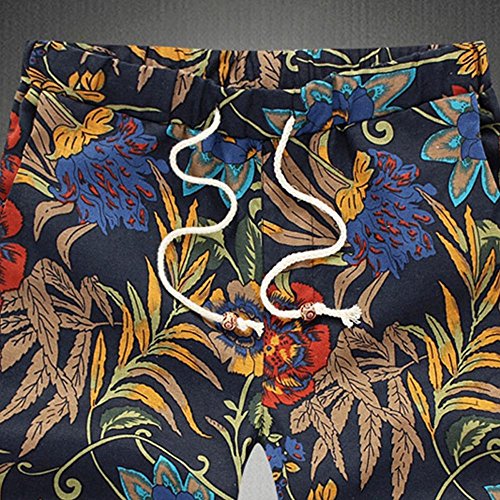 Mlide Mens Vintage Graphic,Casual Beach Work Pants,Summer Swim Trunks Quick Dry Surfing Shorts Pants,Style F(X-Large)