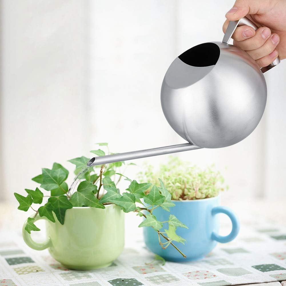 1000ML Stainless Steel Watering Can with Long Spout Round Ball Sprinkler for Garden Plants Flowers Home Use - Image 4