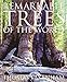 Remarkable Trees of the World