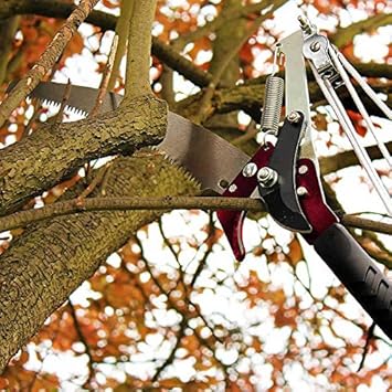 Kent And Stowe 70100496 3 M Telescopic Tree Pruner Amazon Co Uk Garden Outdoors