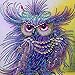 5D Diamond Painting Kit,DIY Special Shaped Diamond Painting Resin Crystal Cross Stitch Arts Craft for Wall Decor (Owl)