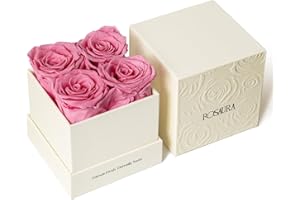 Rosaura Forever Preserved Roses in Prints Boxes, 4-Piece Eternal Roses Preserved Flowers for Delivery Prime, Rose that Last U