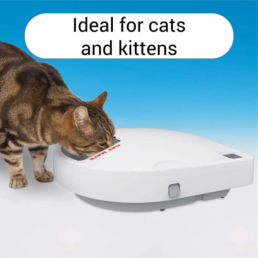 https://images-na.ssl-images-amazon.com/images/I/61eRkrS8ifL.jpg