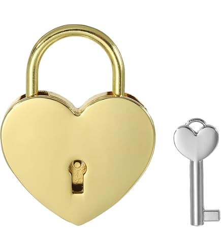 Warmtree Petit cadenas en forme de cœur en métal Mini Serrure avec