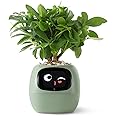 PLANTSIO Smart pet Planter Robot Guidance on Plant Care with Emojis, Adorable Plant Companion with Rich Gesture Interaction, Neat Desk Setup Gift (Green)