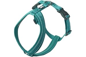 Hurtta Casual ECO Dog Y-Harness, Peacock, 24-28 in