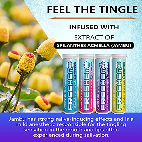 Xero Picks Freshen Infused Flavored Toothpicks for Long Lasting Fresh