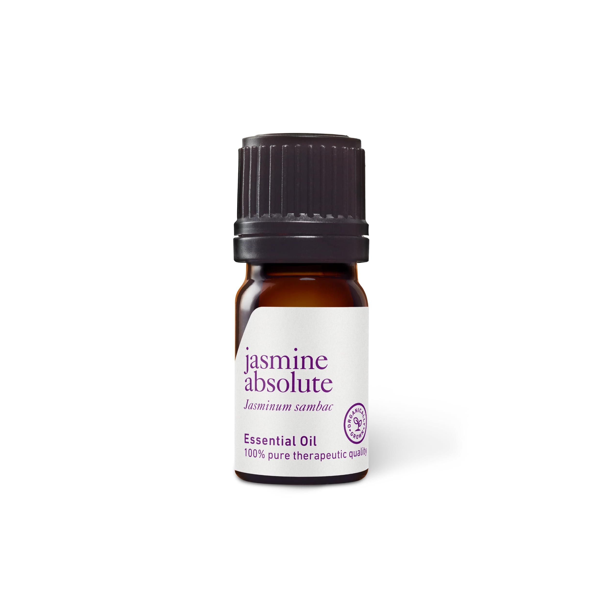 Aromatics International Jasmine Absolute Sambac