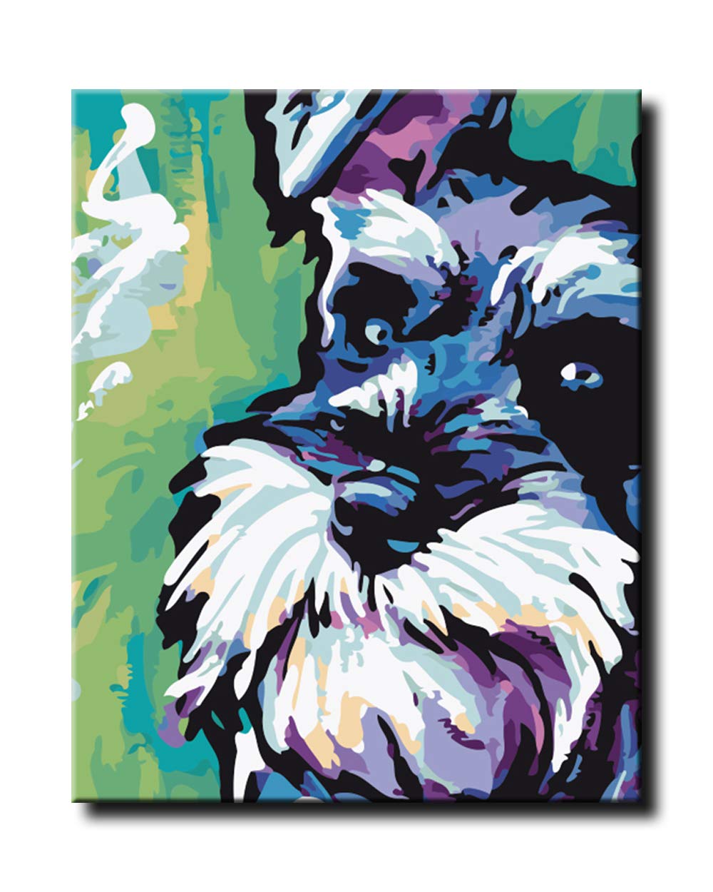 Shukqueen Paint by Number, DIY Oil Painting for Adults, Beginner's, 16X20 Inch, Frameless