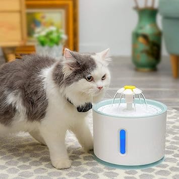 cat water fountain amazon uk