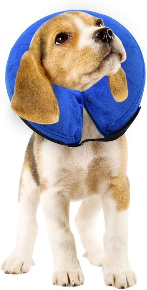 soft dog collar post surgery