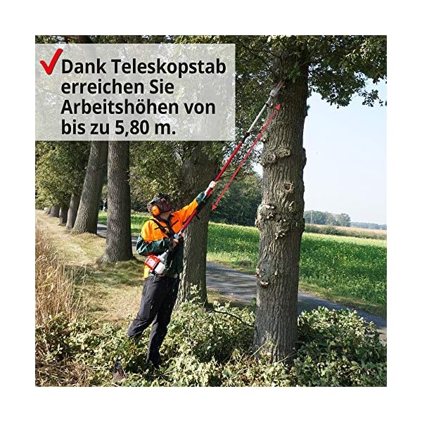 HECHT Benzin Hochentaster Teleskopsäge Motorsäge mit 26 ccm Hubraum, 34 cm Schwert und Teleskobstange bis zu 4,27 m… – Bild 3