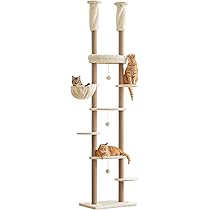 Arbre A Chat Plafond Buy Wood Cat Tower Floor To Ceiling