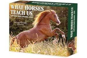 Willow Creek Press What Horses Teach Us 2026 Daily Box Calendar – 365 Day Desk Calendar with Horse Photography, Inspirational