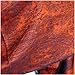 Silver Fever Jacquard Paisley Pashmina Shawl Scarf StoleBy Silver Fever Brand (Orange/Navy)