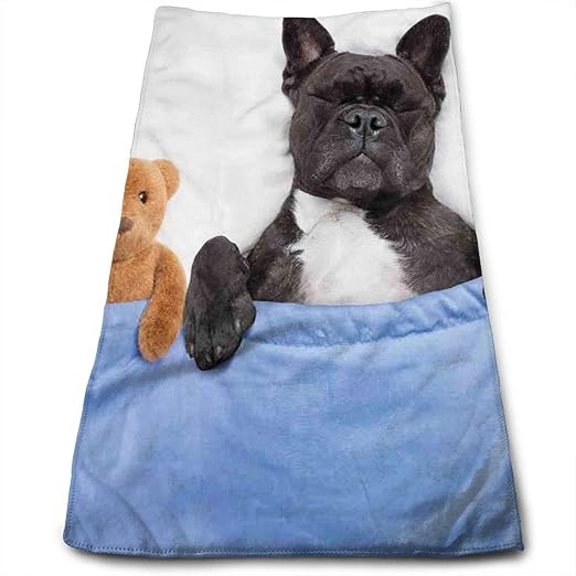 french bulldog teddy bear